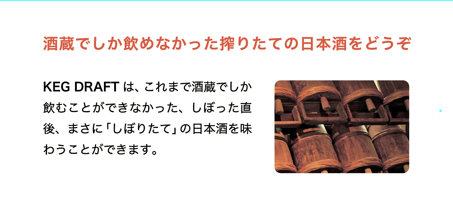 杜氏の生酒　日本酒サーバー